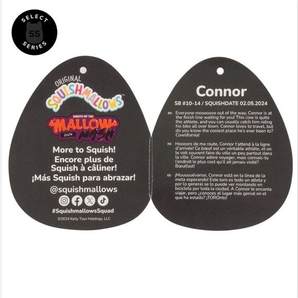 NWT Set of Two Halloween Squishmallows - Picture 9 of 11